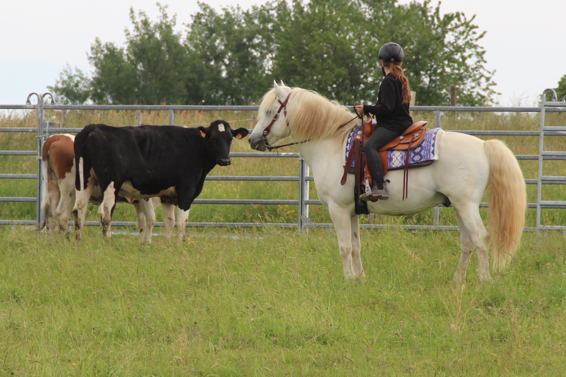 TEXAN DES SABLES