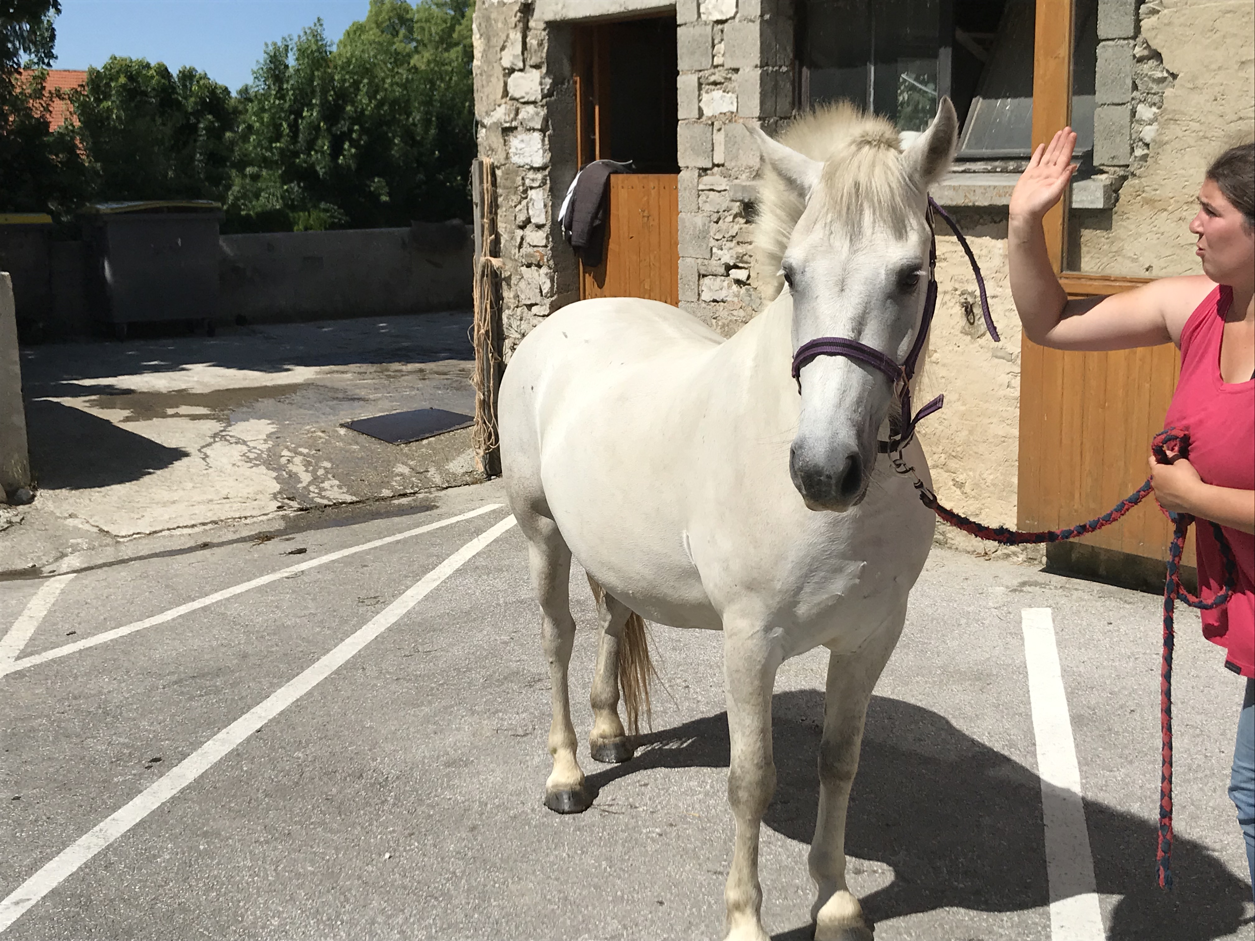 FLASH DE L'ARNEL